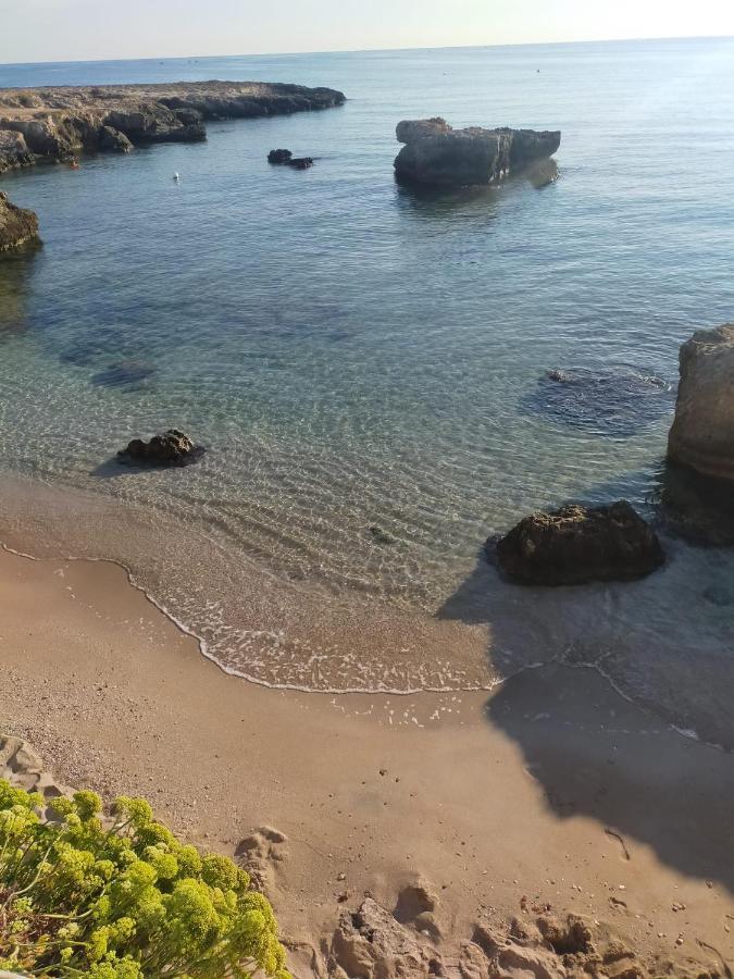 Casa Punta D'Oro Βίλα Faccia di Trippa di Monte Εξωτερικό φωτογραφία